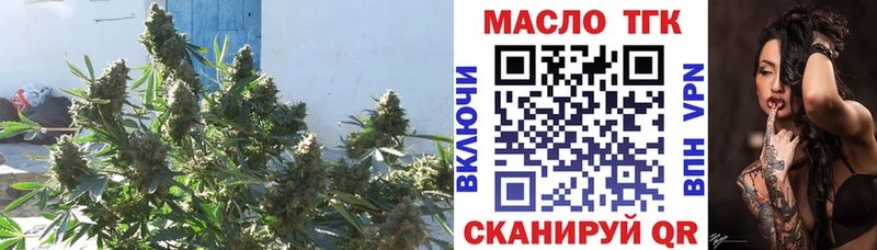 mega как войти  Кизляр  Дистиллят ТГК гашишное масло  купить  сайты 