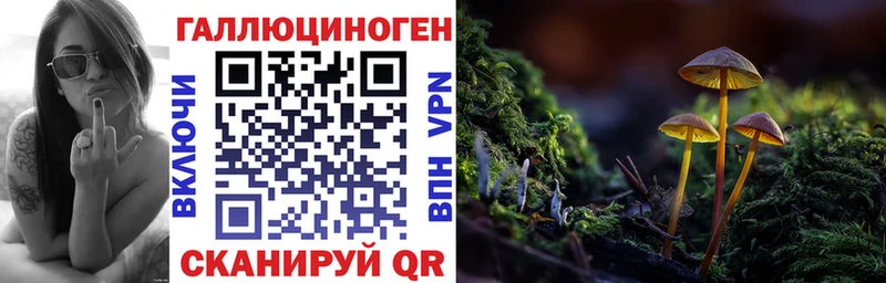 где найти наркотики  Кизляр  Псилоцибиновые грибы GOLDEN TEACHER 